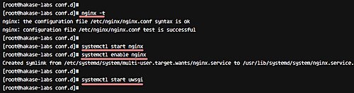 test nginx config and restart nginx